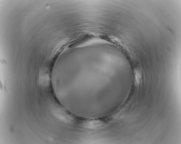 X0000091350716200708101530