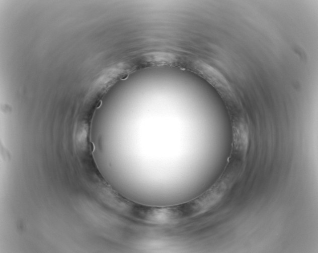 X0000091350717200708101530