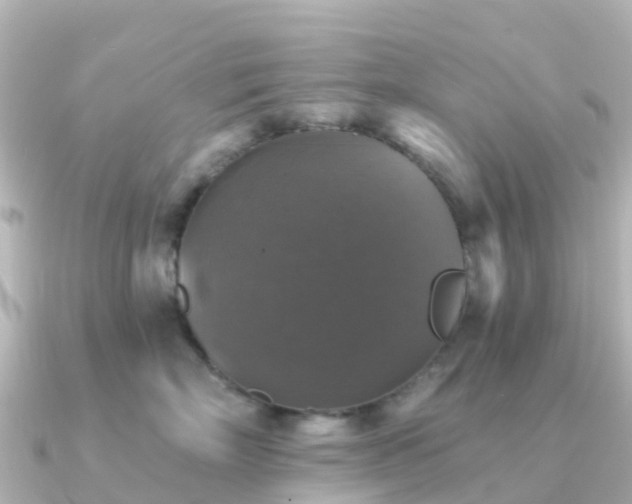 X0000091350718200708101530