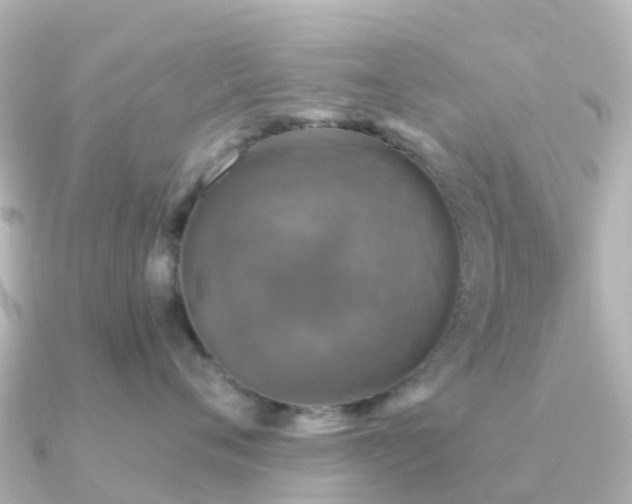 X0000091350720200708101530