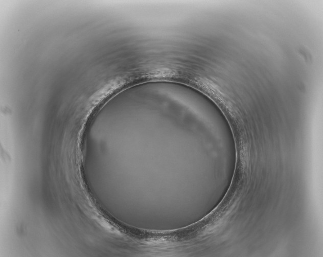 X0000091350721200708101529