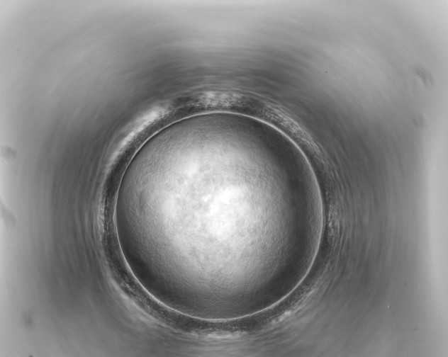 X0000091350722200708101529