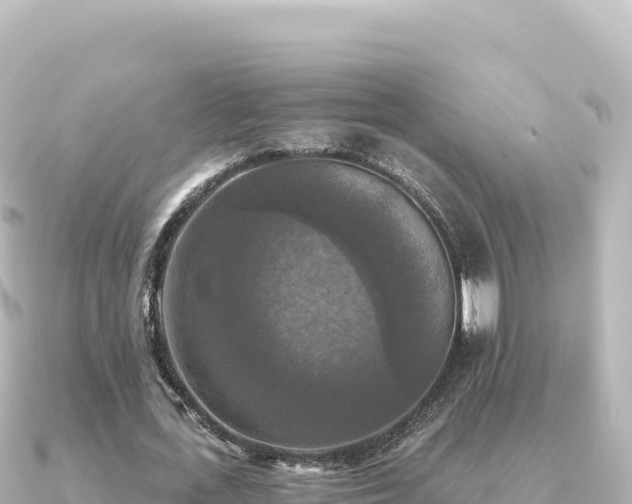 X0000091350723200708101529