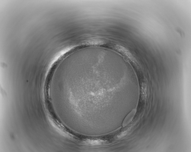 X0000091350726200708101529