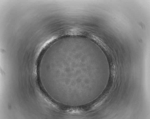 X0000091350727200708101529