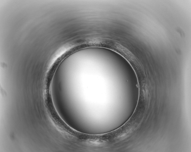 X0000091350728200708101529