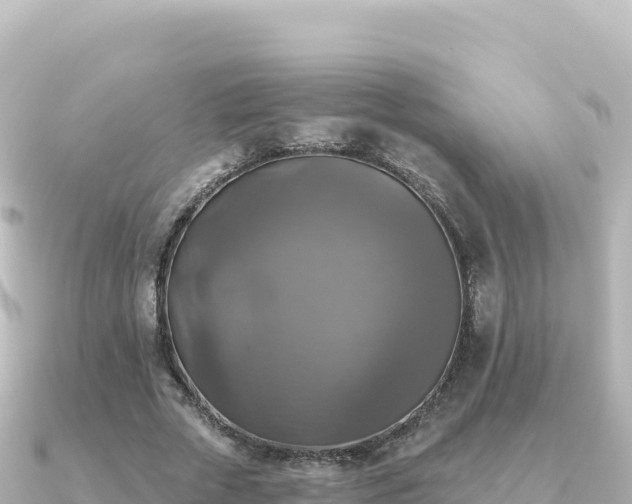 X0000091350729200708101529
