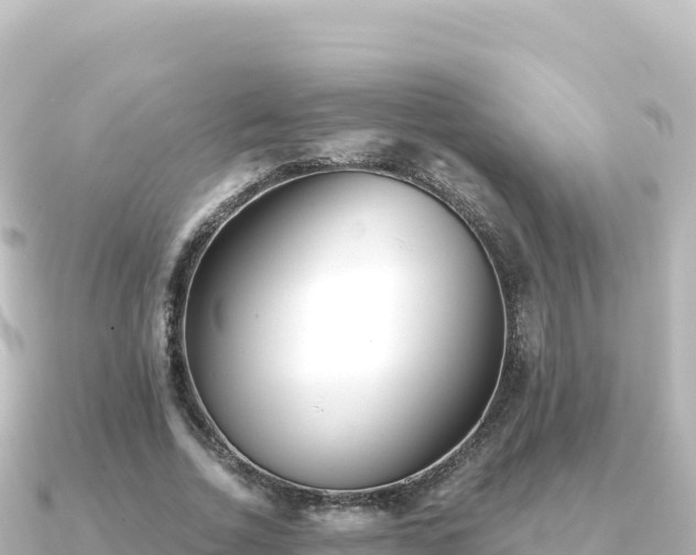 X0000091350730200708101529