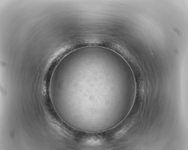 X0000091350731200708101529