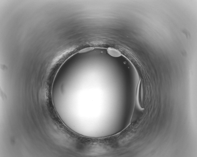 X0000091350732200708101529