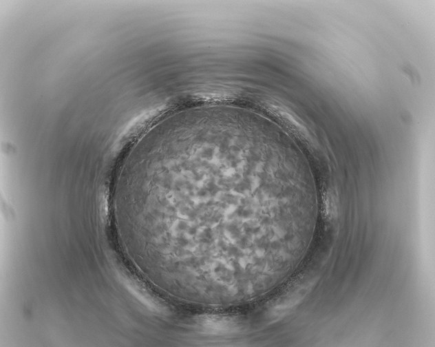 X0000091350733200708101529