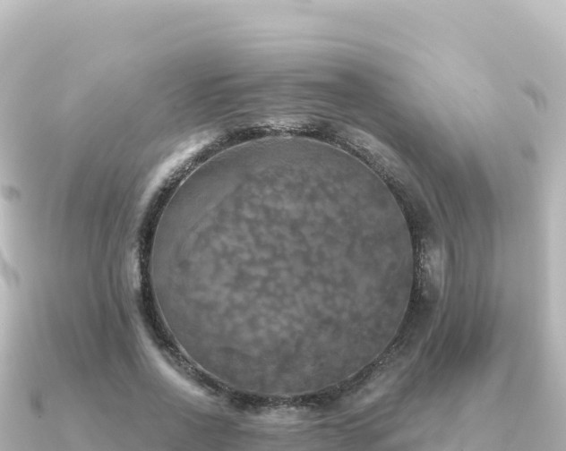X0000091350734200708101529