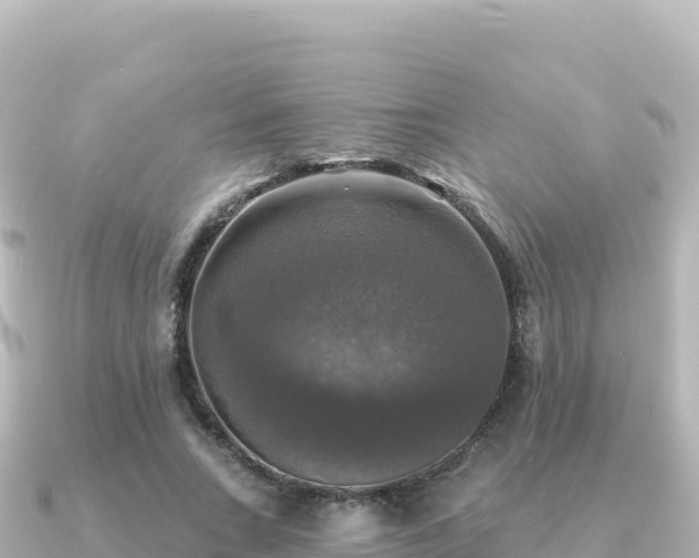 X0000091350735200708101529