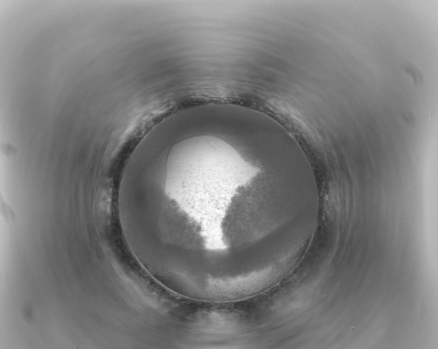 X0000091350739200708101530