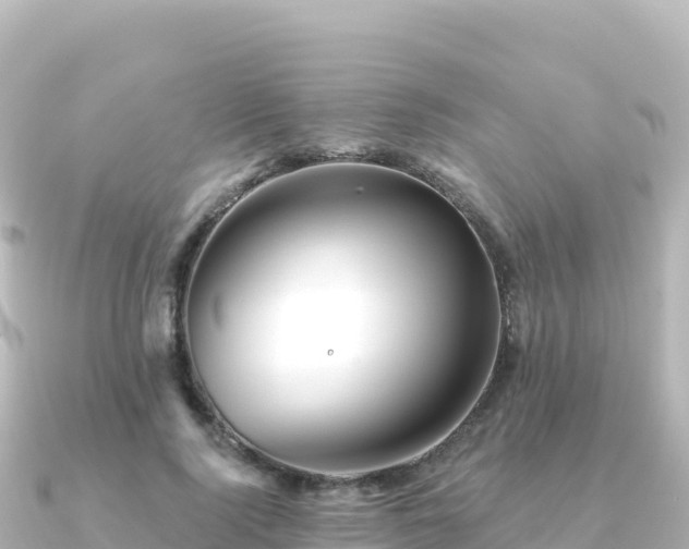 X0000091350740200708101530