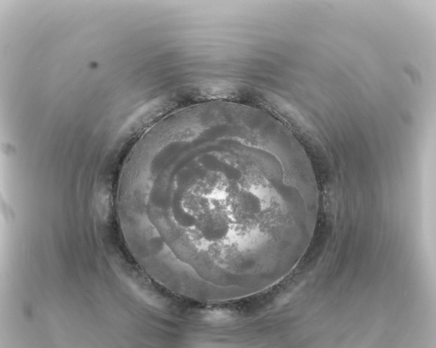 X0000091350741200708101530
