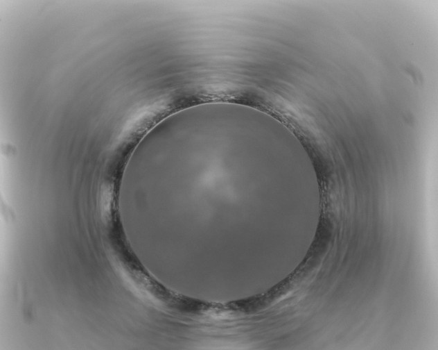 X0000091350742200708101530