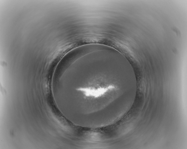 X0000091350743200708101530