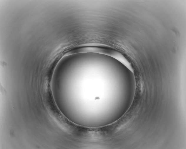 X0000091350744200708101530