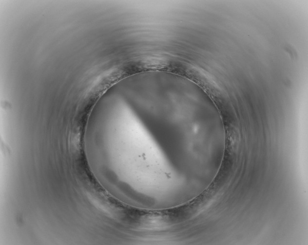 X0000091350745200708101530