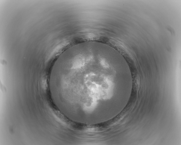 X0000091350746200708101530