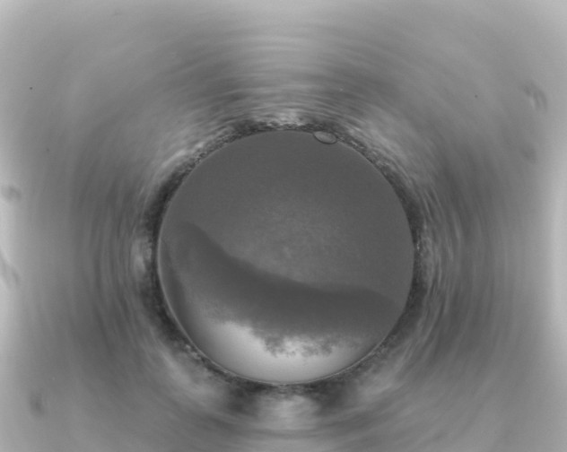X0000091350747200708101530