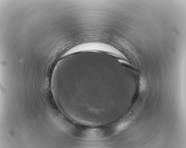X0000091350748200708101530