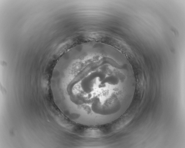 X0000091350749200708101530