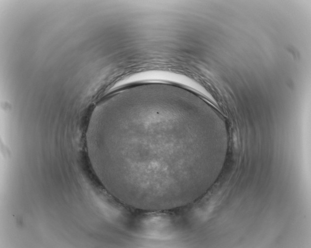 X0000091350750200708101530