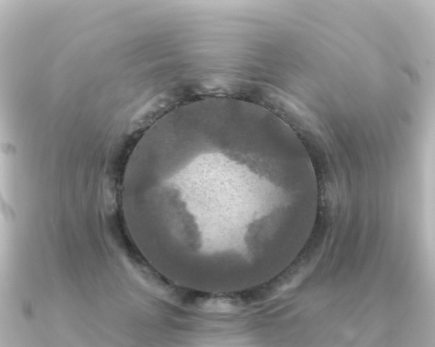 X0000091350751200708101530
