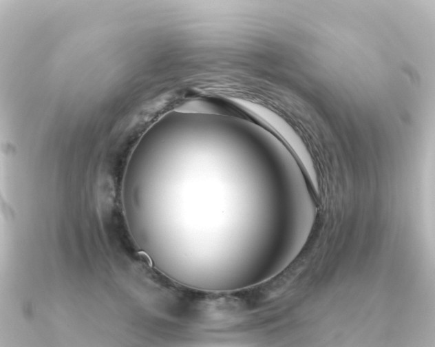 X0000091350752200708101530