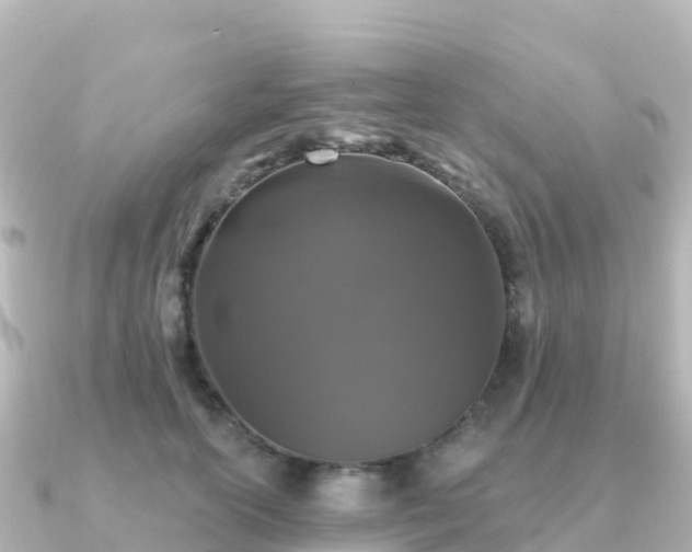 X0000091350754200708101530