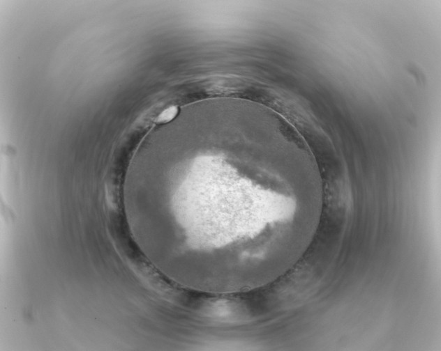 X0000091350755200708101530