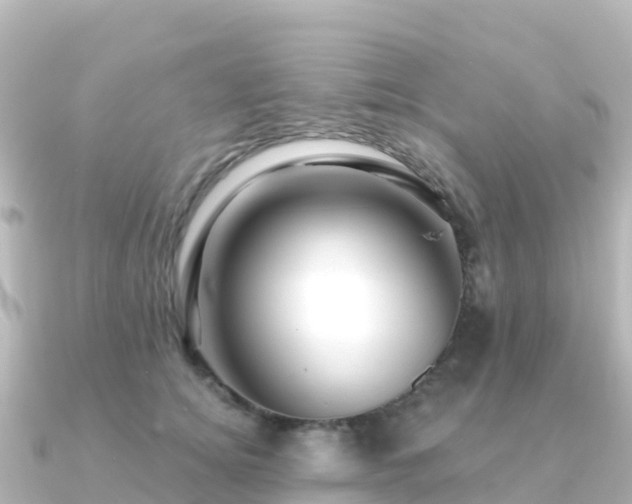 X0000091350756200708101530