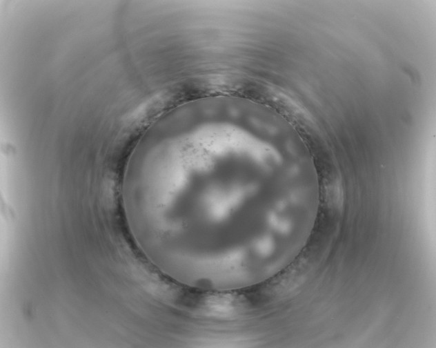 X0000091350757200708101530