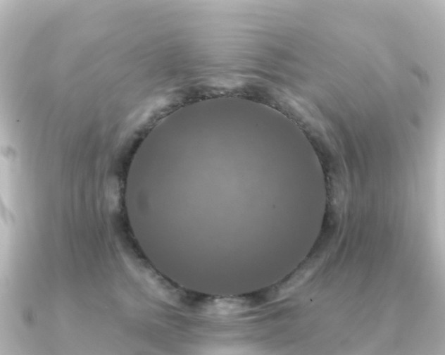 X0000091350758200708101530
