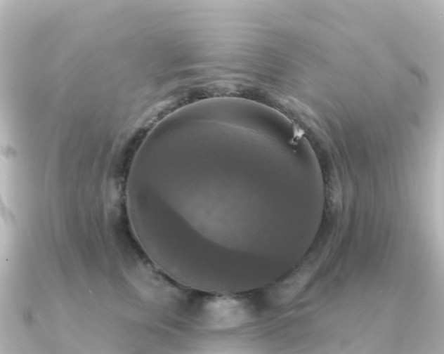 X0000091350759200708101530