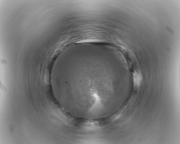 X0000091350760200708101530