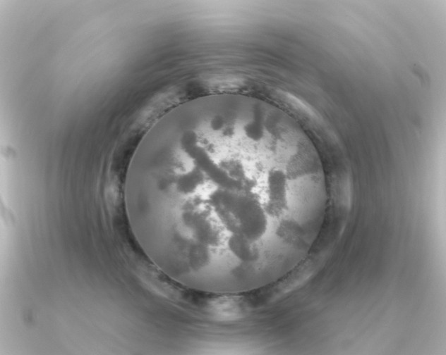 X0000091350761200708101530