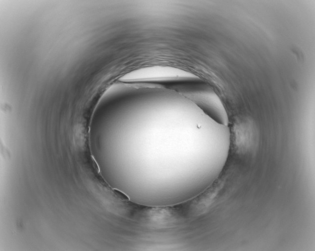 X0000091350762200708101530