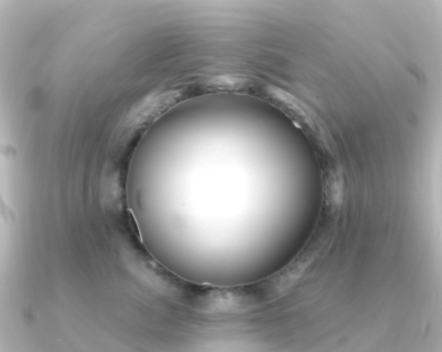 X0000091350764200708101530