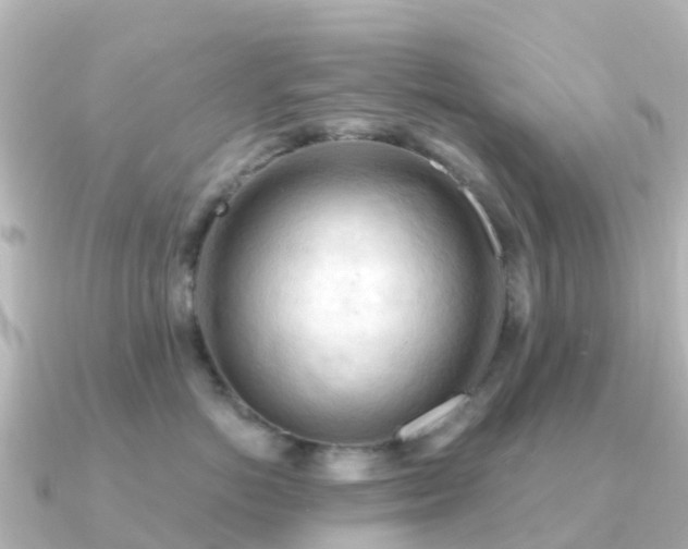 X0000091350766200708101530