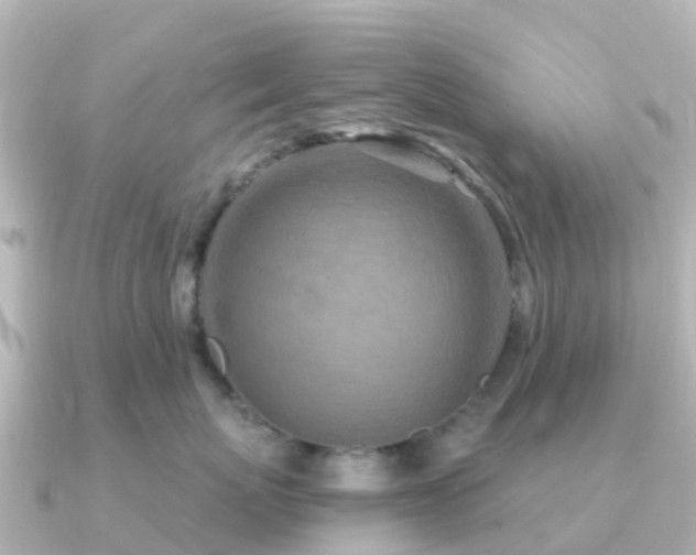 X0000091350767200708101530