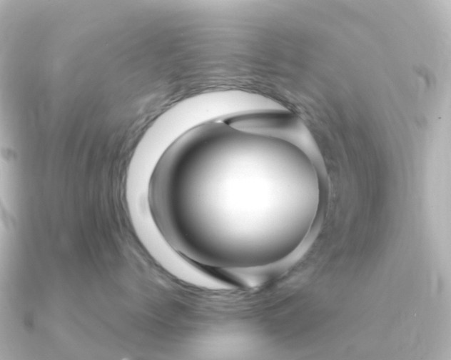 X0000091350768200708101530