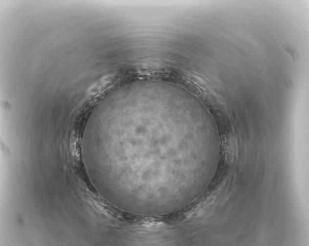X0000091350770200708101529