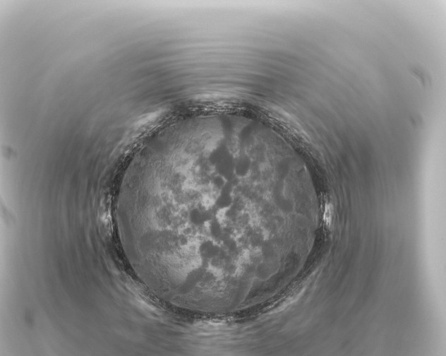 X0000091350771200708101529