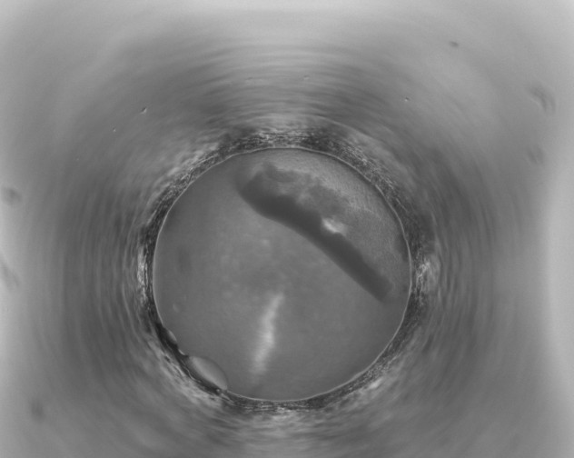 X0000091350772200708101529