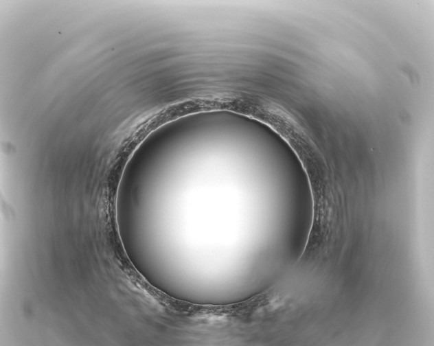 X0000091350773200708101529