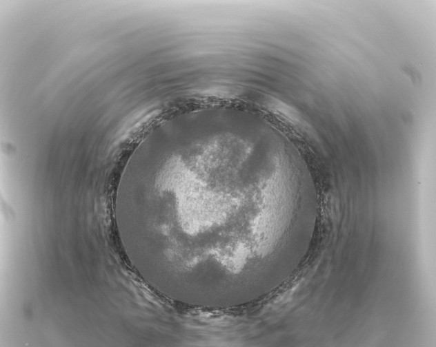 X0000091350774200708101529