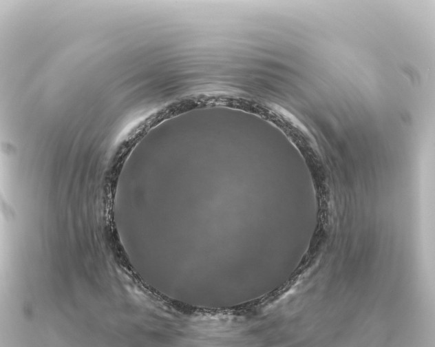 X0000091350775200708101529